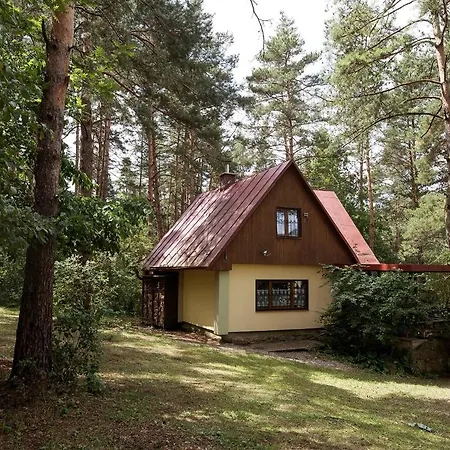 Sosna * Spišská Nová Ves