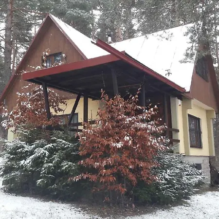 Sosna * Spišská Nová Ves