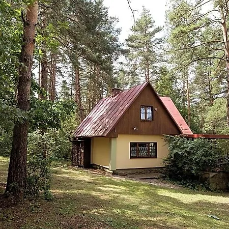 Sosna Lodge