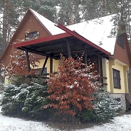 Sosna * Spišská Nová Ves